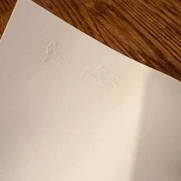 The WWE Championship: A Look Back at the History of the WWE Championship book - Picture 3 of 4